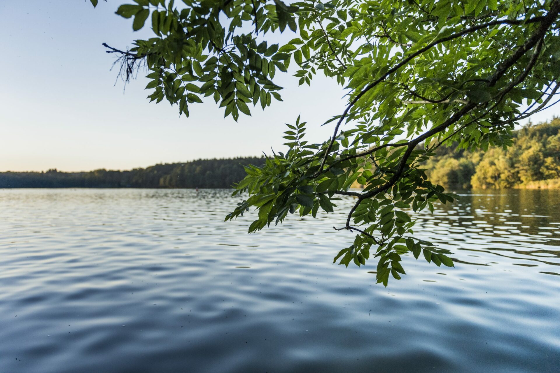 See in Oberbayern