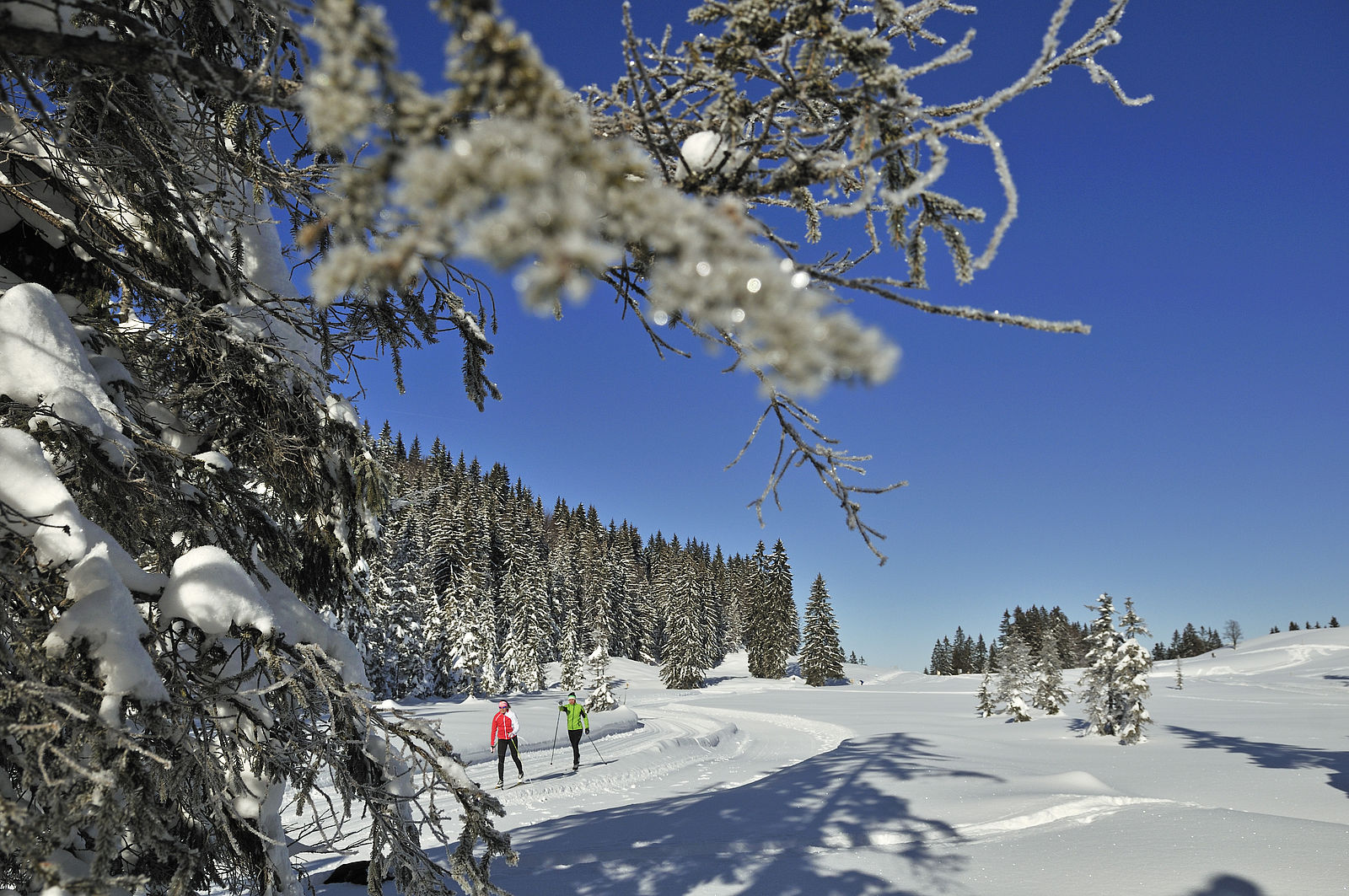 Chiemgau Winter Hemmersuppenalm