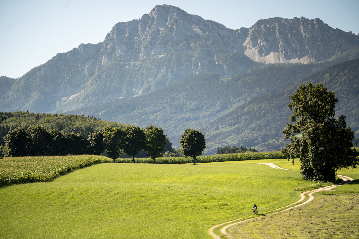 View of the Hohenstaufen