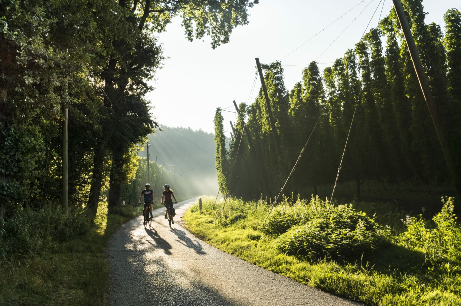 Cycling on the Hopfenschleife 