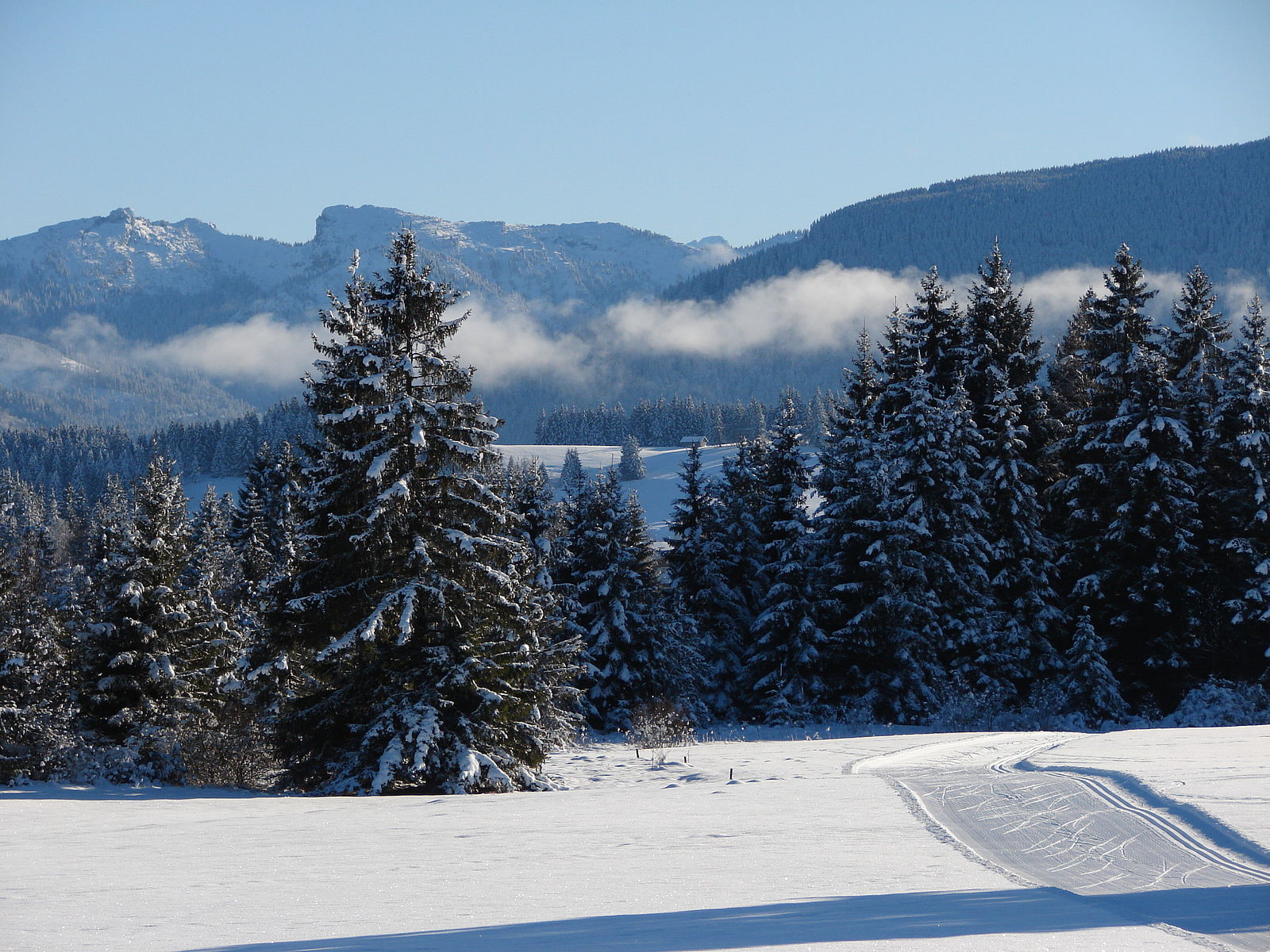 Pfaffenwinkel Wildsteig Loipe