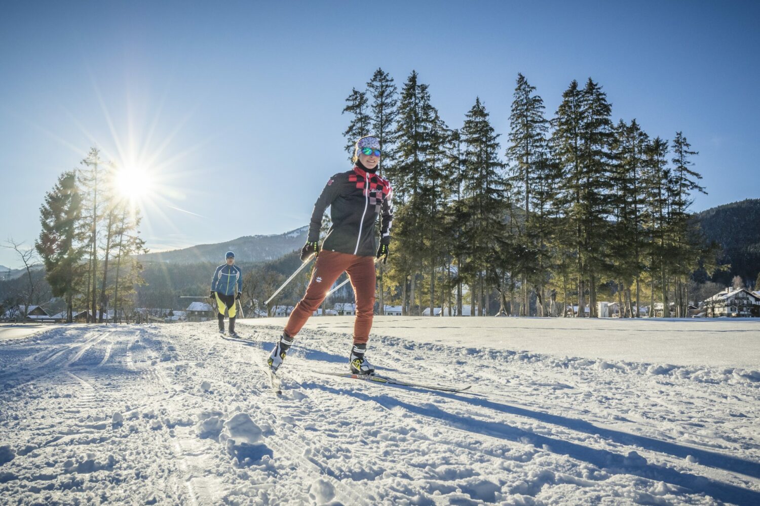 Image for Alpine panorama and winter forest: Cross-country skiing in Upper Bavaria