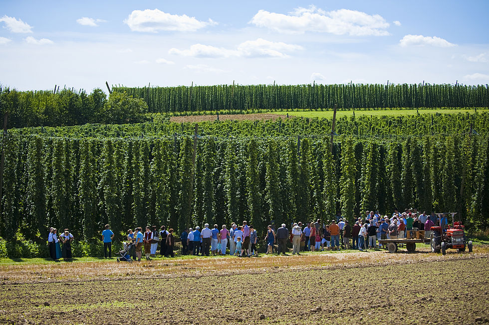 Hopfenzupffest in Oberbayern