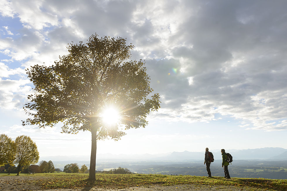 Achtsamkeit auf Wanderwegen