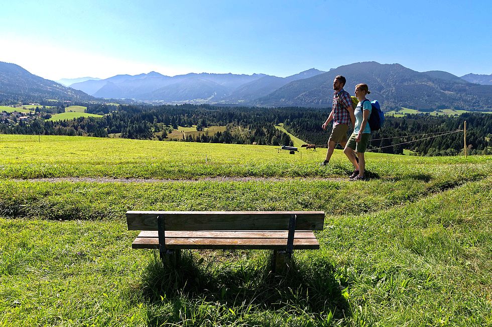 Bild zu Wandern im Schutz der Natur