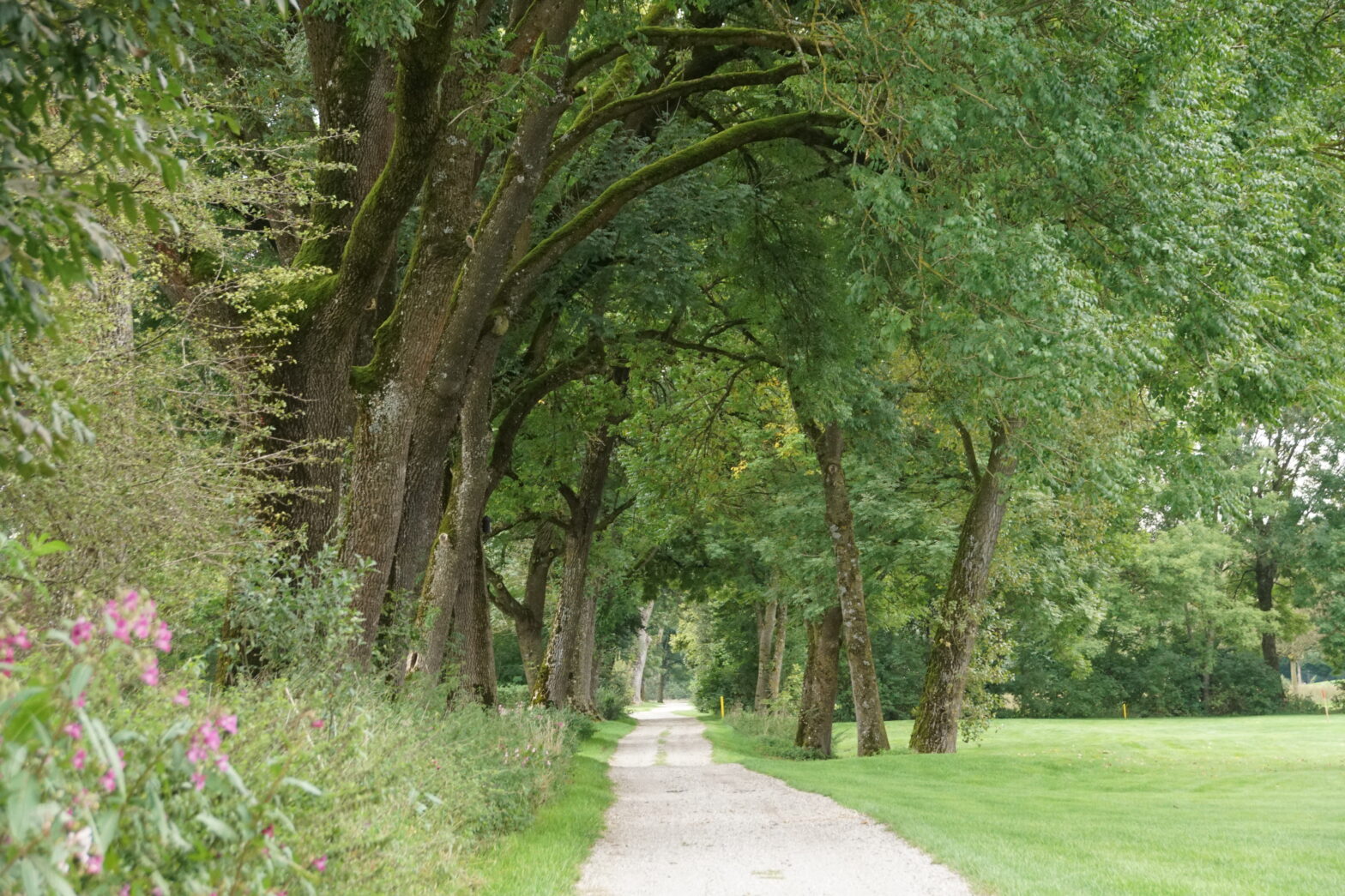 Erding - Upper Bavaria: real Bavaria