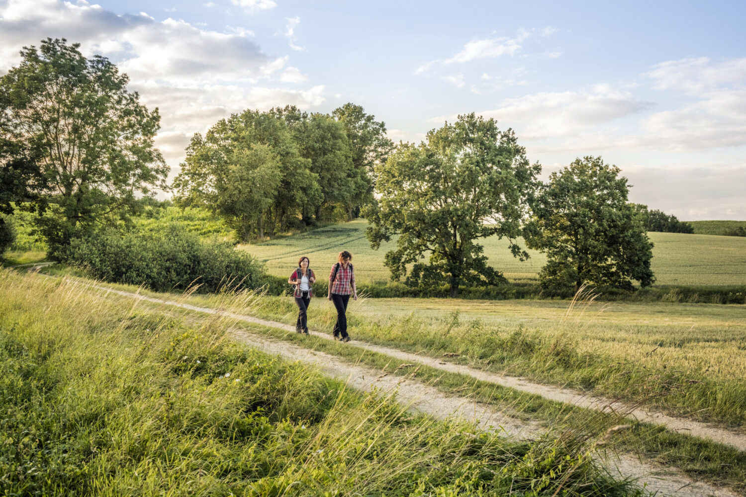 Image for 4 HikingGeHEIMATorte around Munich