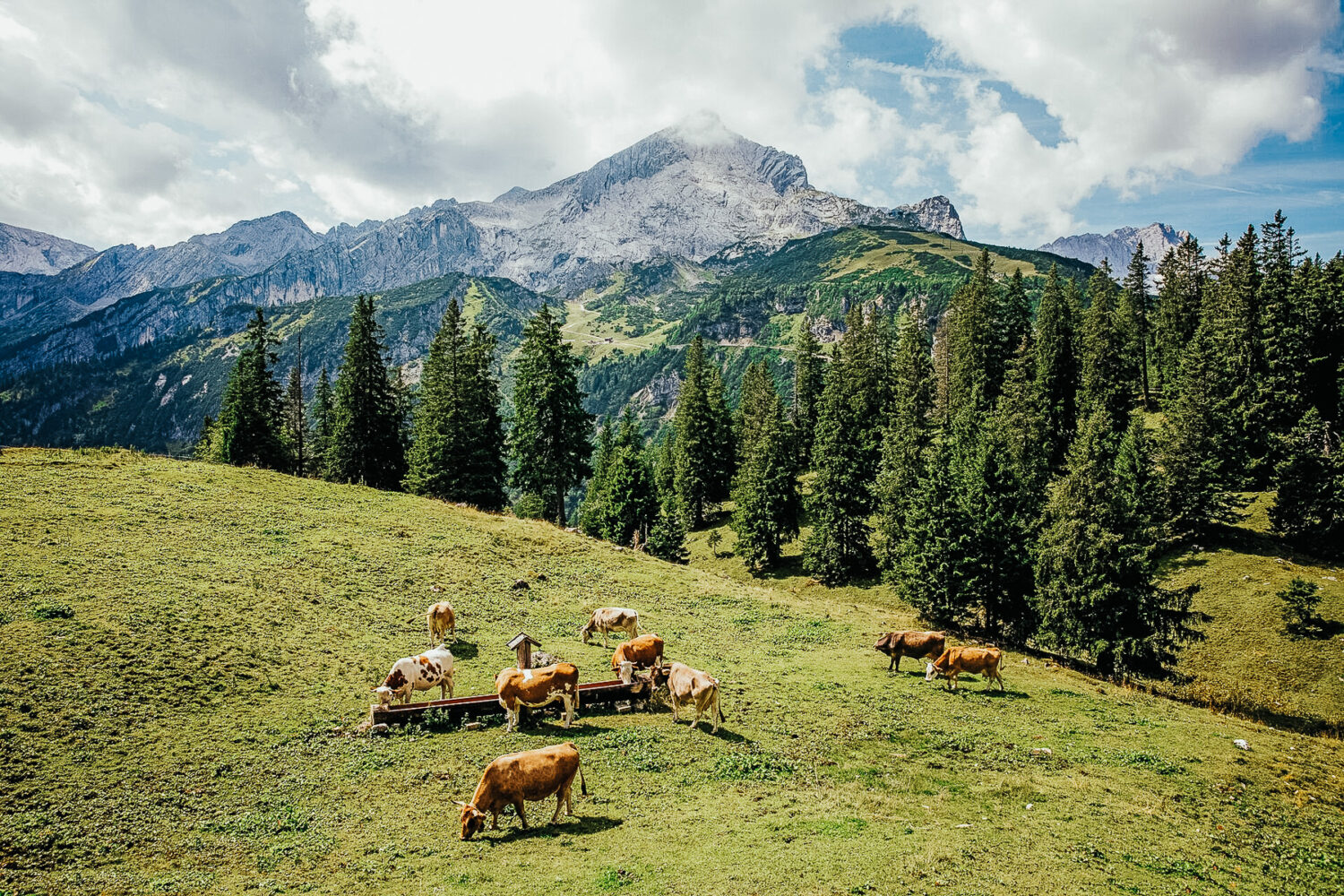 Image for City Summer in Garmisch-Partenkirchen