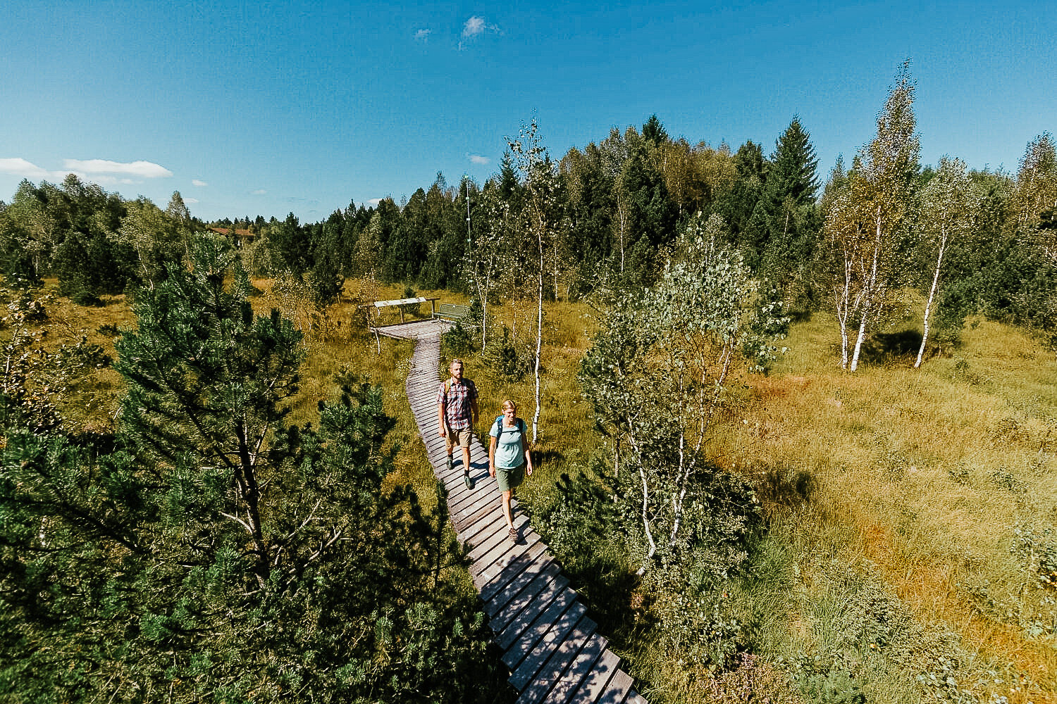 Unterwegs im Moor