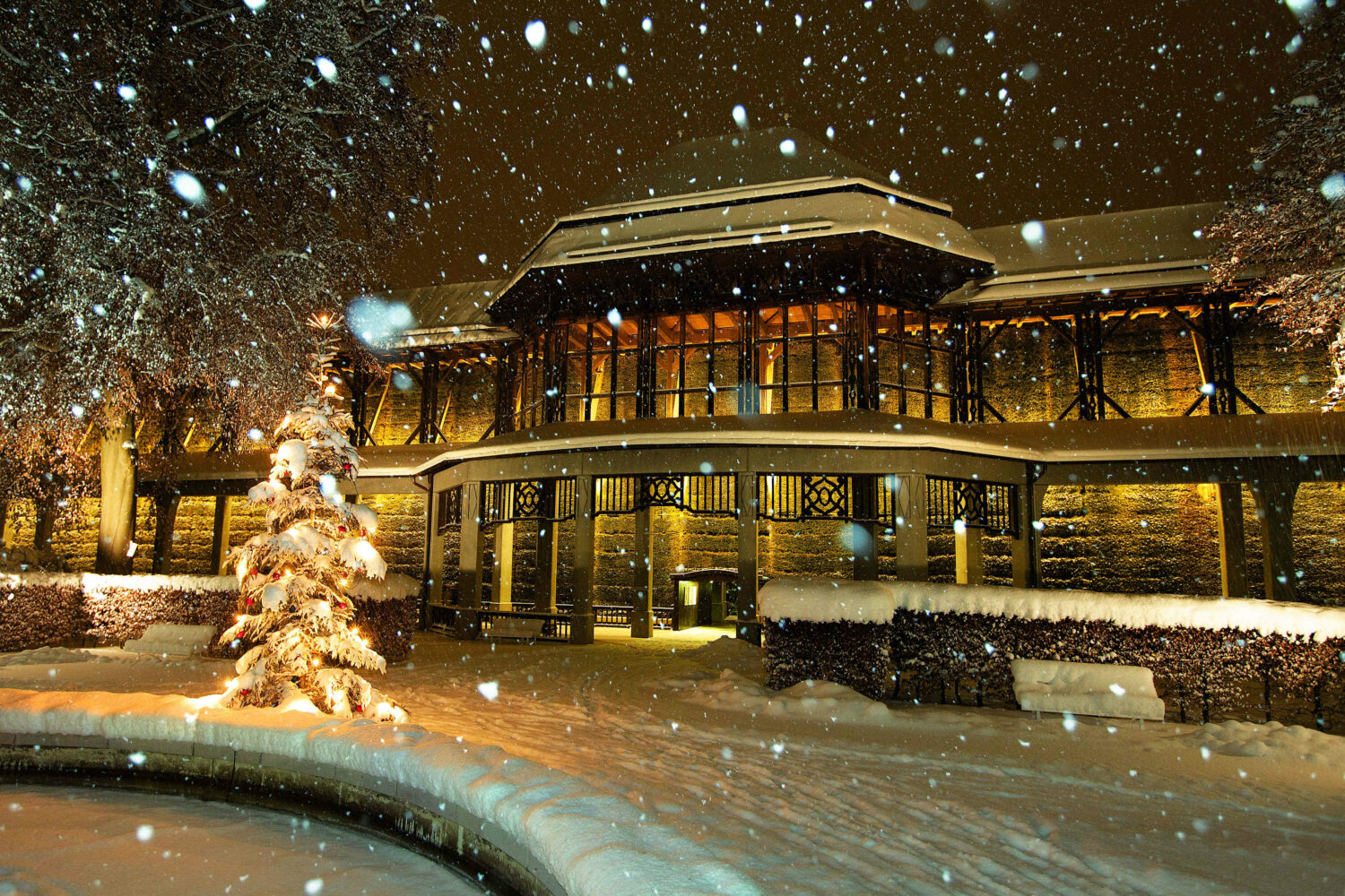 Weihnachtliche Stille: Der Kurgarten Bad Reichenhall.