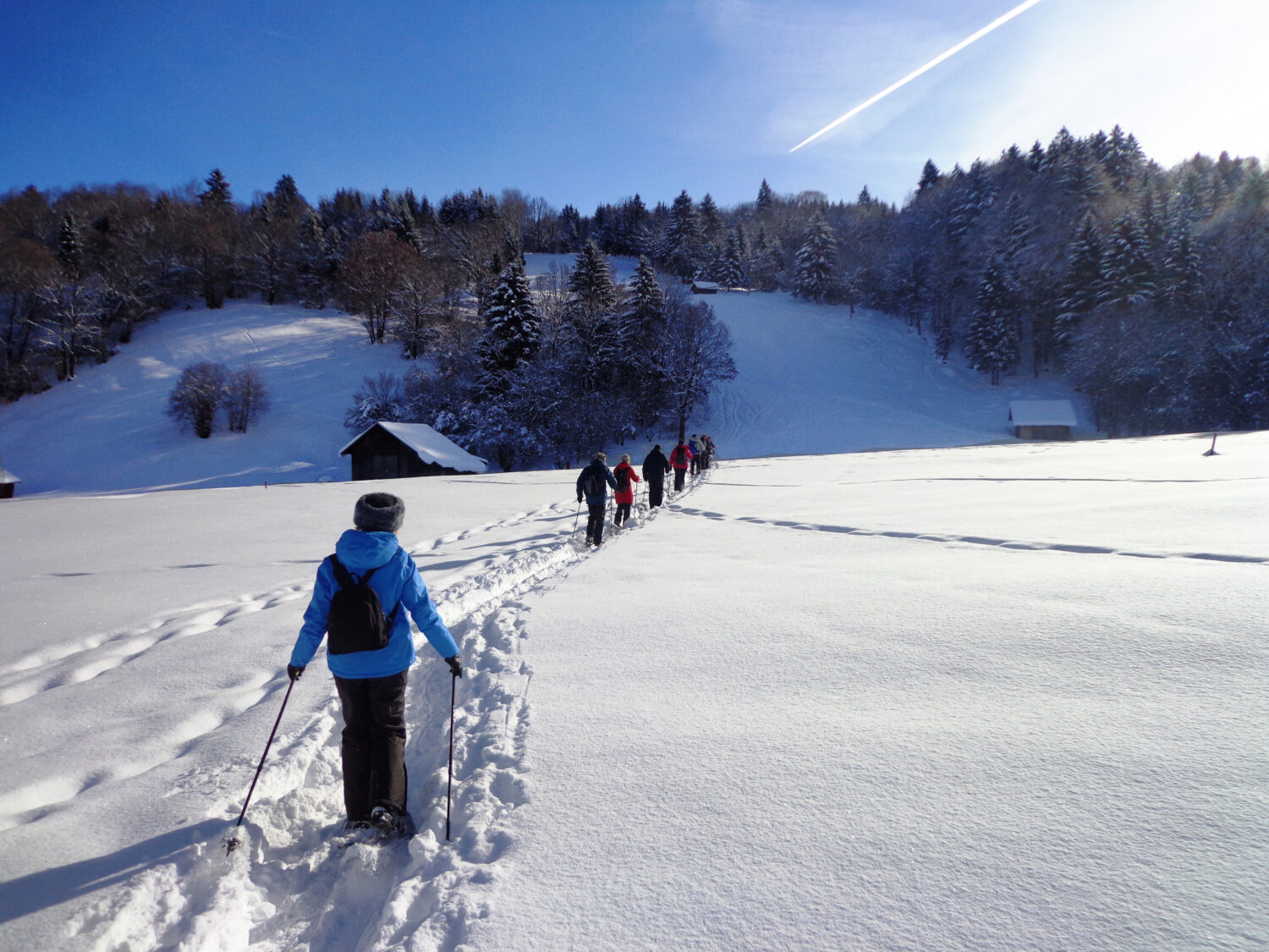 Geführte Touren sind ein idealer Einstieg ins Schneeschuhgehen.