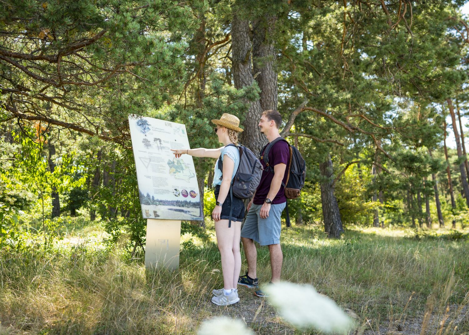 Heidepfad, Mallertshofer Holz bei Eching