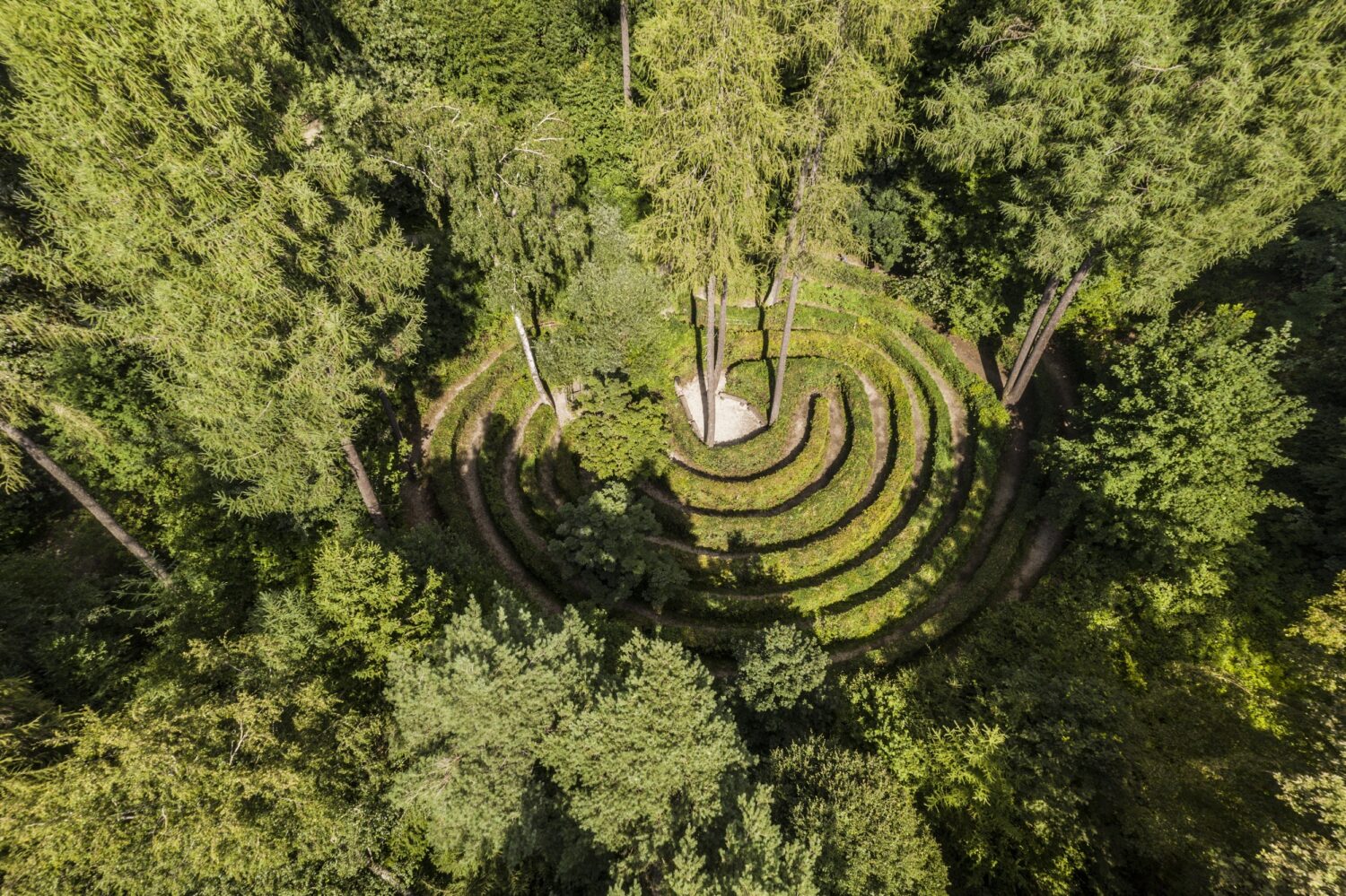 Waldlabyrinth auf dem Walderlebnispfad