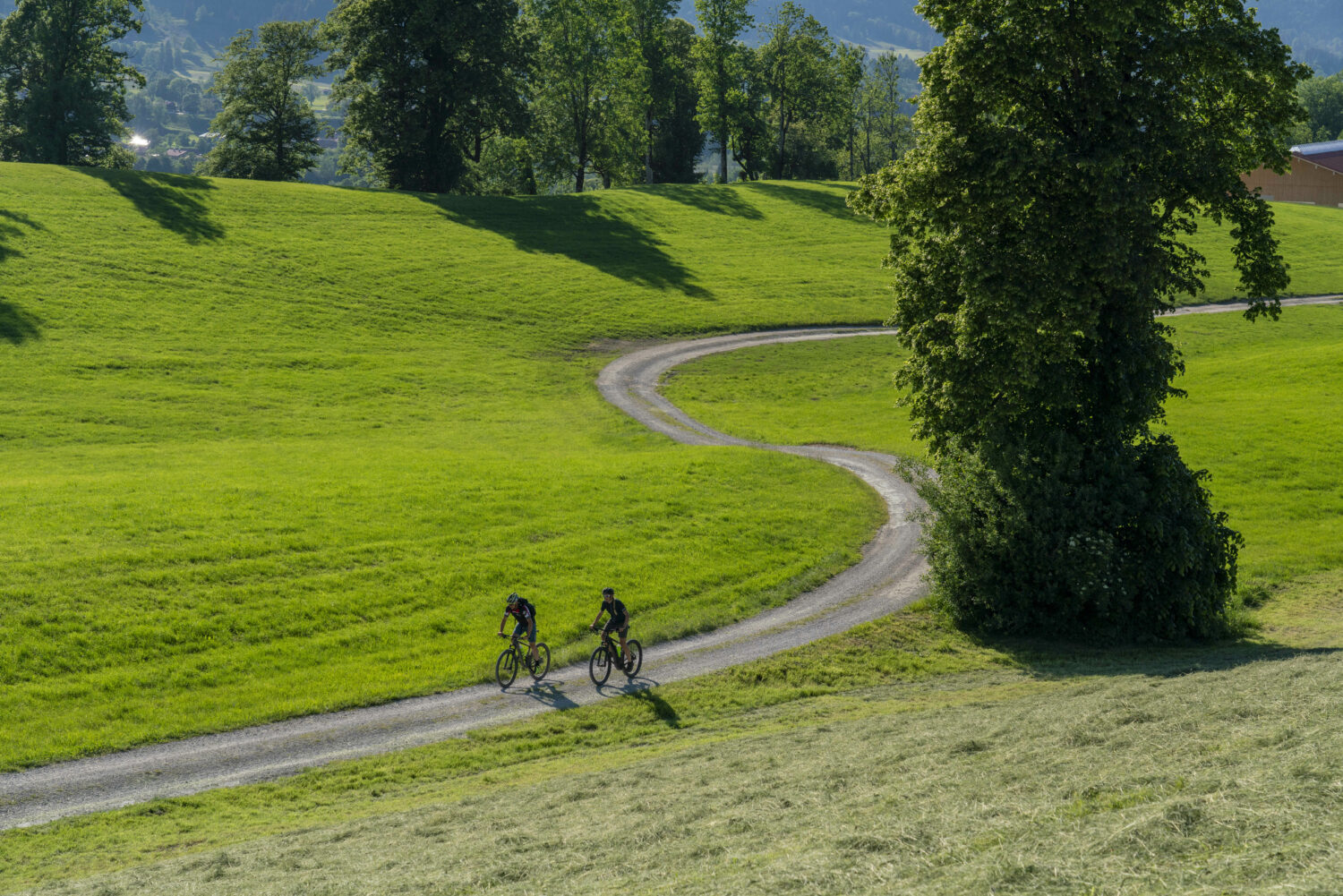 Beautiful graveling: Graveling near Lenggries.