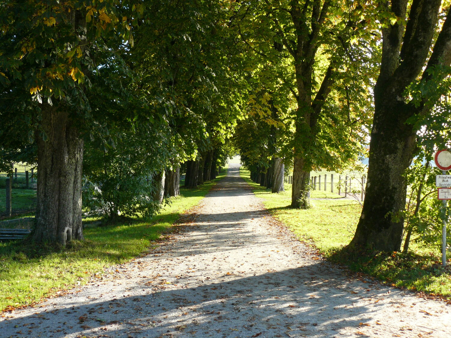 De Schlossalle in Falkenberg.