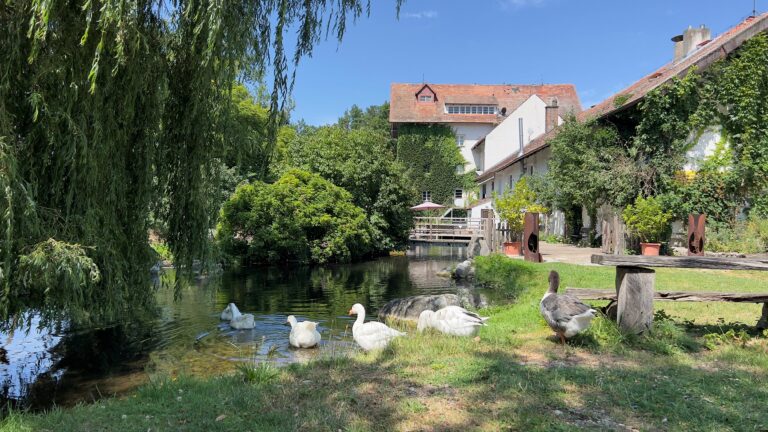 Bild zu Echt aktiv im Landkreis Ebersberg 