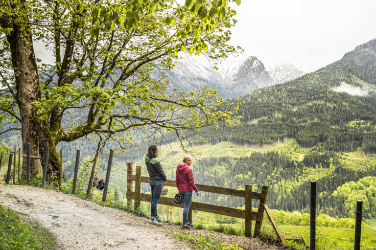 Image of themed hiking trails