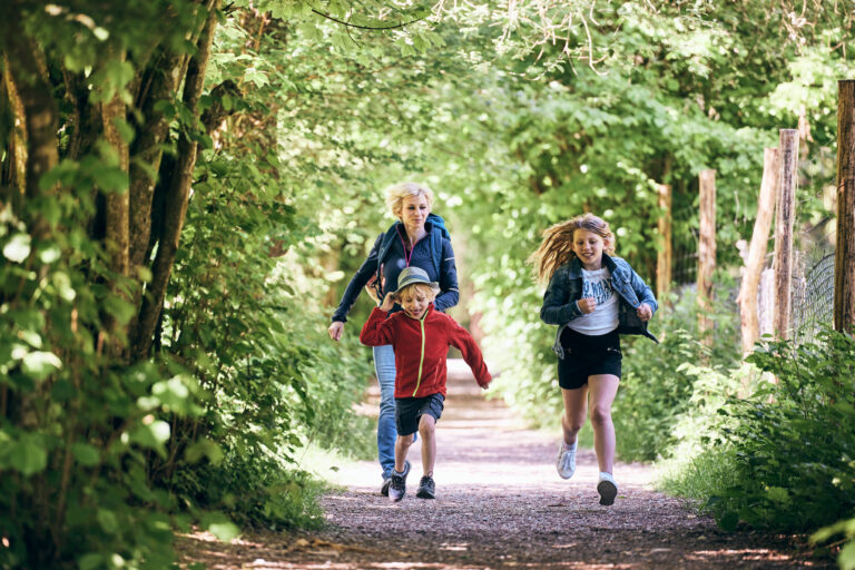 Bild zu Familienwanderungen