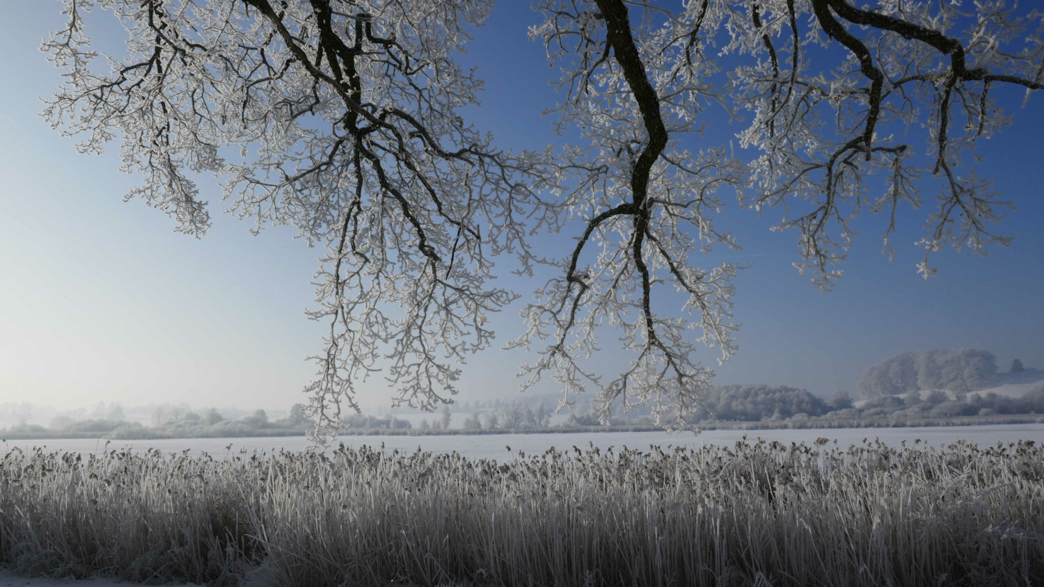 Bild zu Winterglück – Ebersberger Grünes Land  